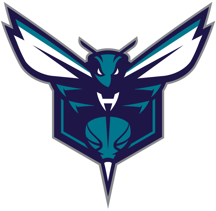 Charlotte Hornets 2014-Pres Alternate Logo iron on transfers for T-shirts version 2